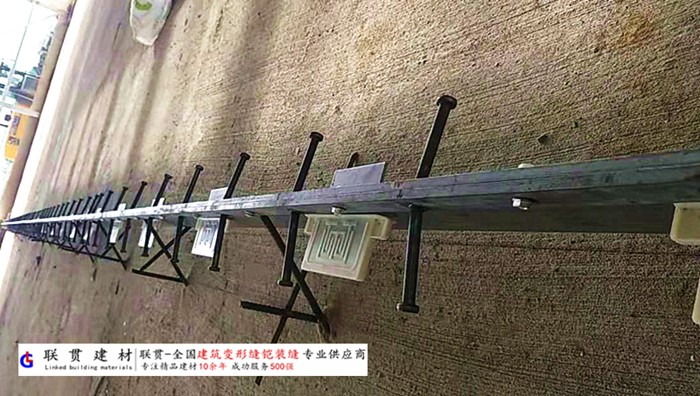 西双版纳铠甲缝施工案例